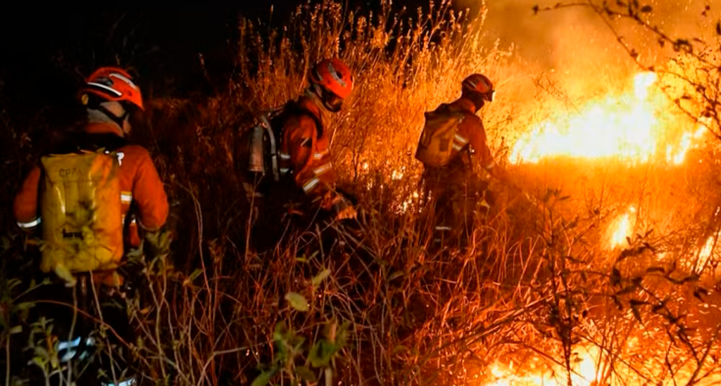 INCÊNDIO FLORESTAL EM SANTO ANTÃO