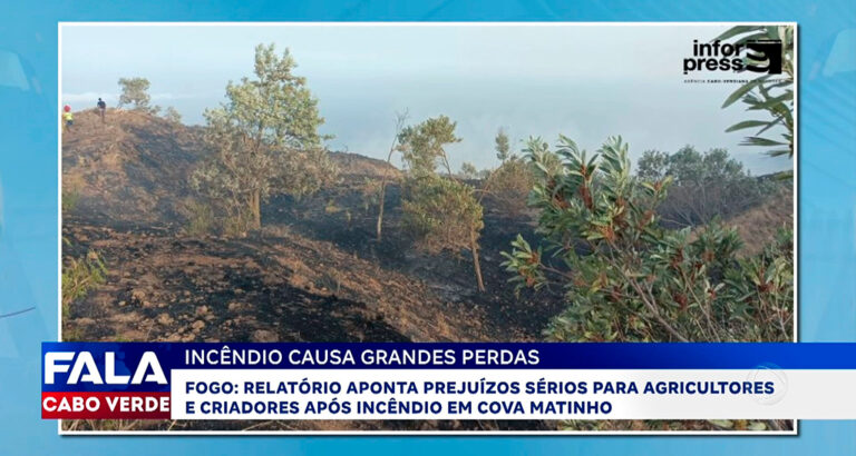 INCÊNDIO CAUSA GRANDES PERDAS