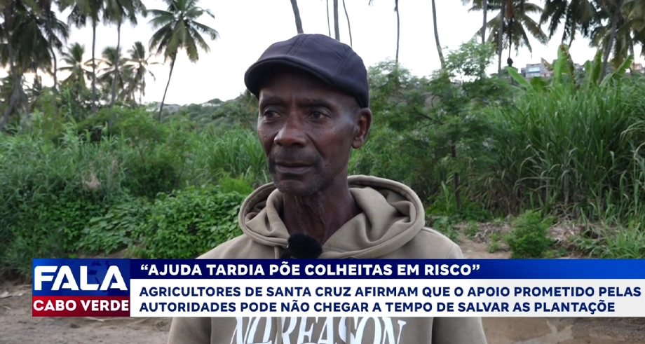 “AJUDA TARDIA PÕE COLHEITAS EM RISCO”