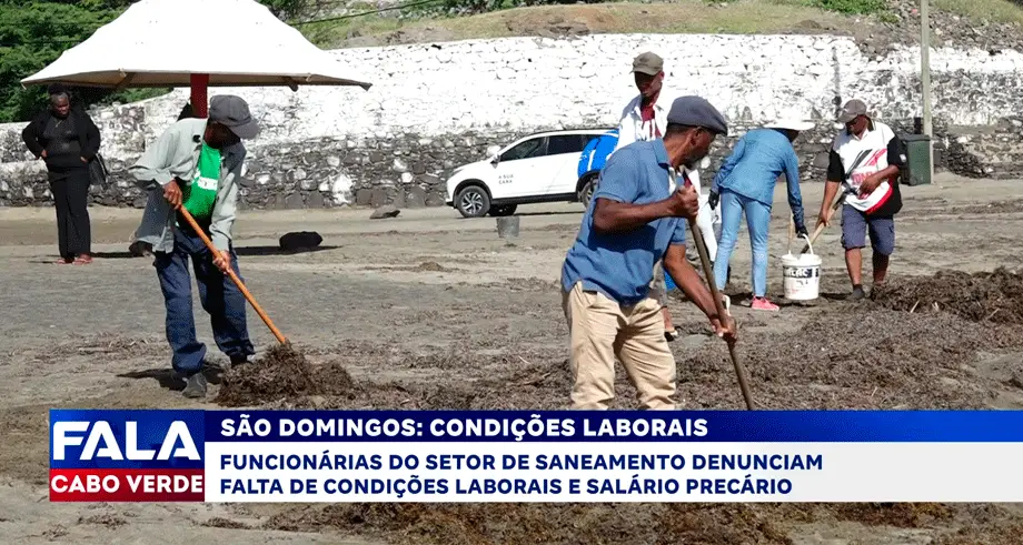 SAO DOMINGOS: CONDIÇÕES LABORAIS
