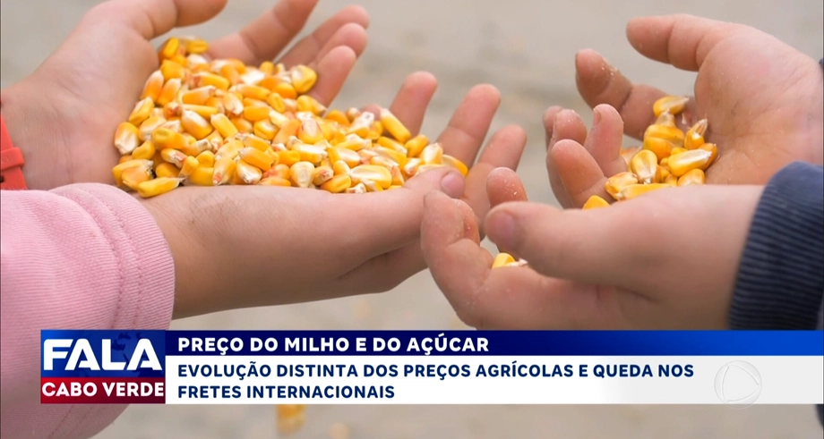 PREÇO DO MILHO SOBE E AÇÚCAR CAI NO MERCADO