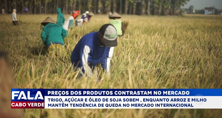 PREÇOS DOS PRODUTOS CONSTRASTAM NO MERCADO