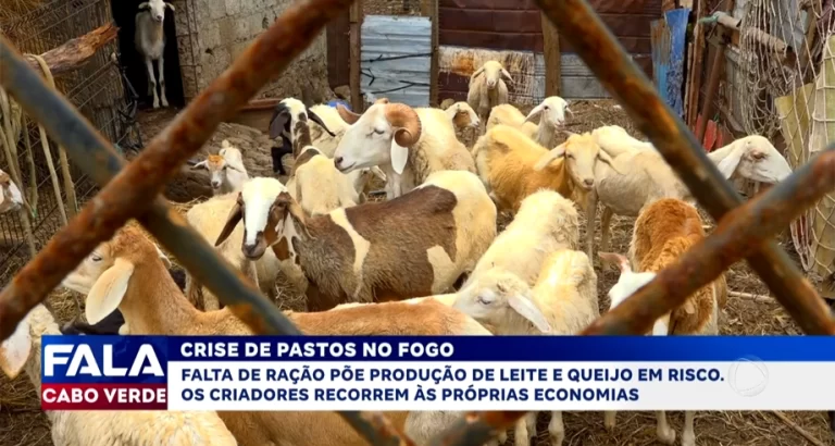 CRISE DE PASTOS NO FOGO