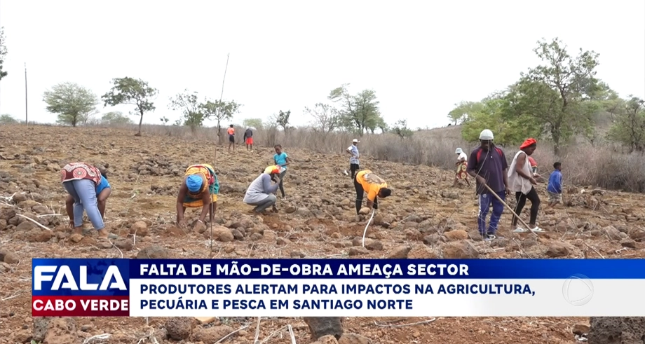 EXTENSÕES CAPILARES CONTÊM SUBSTÂNCIAS TÓXICAS