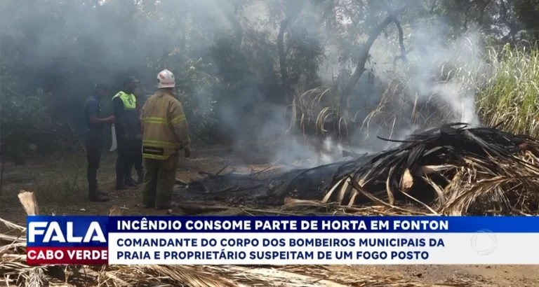 INCÊNDIO CONSOME PARTE DE HORTA EM FONTON