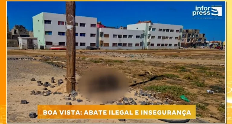 BOA VISTA: ABATE ILEGAL E INSEGURANÇA