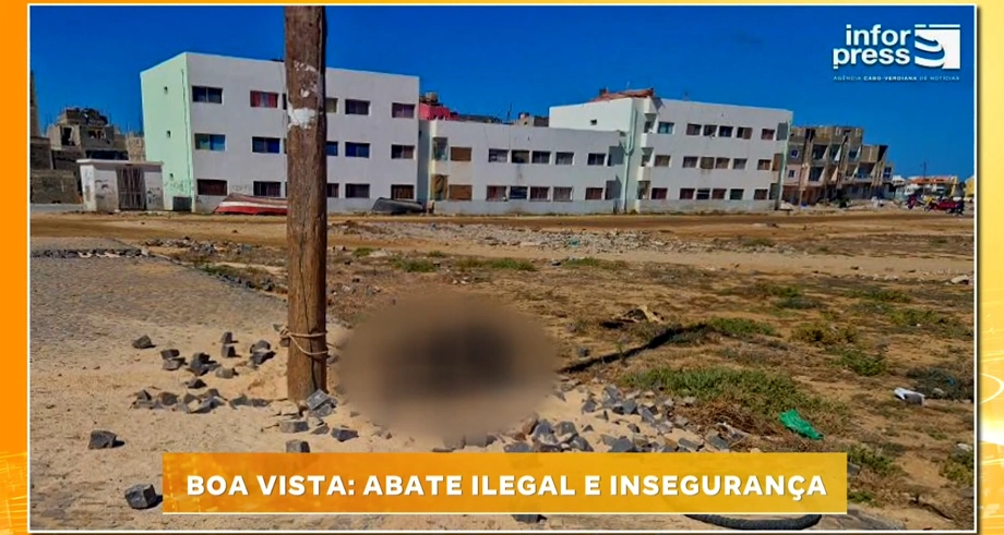 BOA VISTA: ABATE ILEGAL E INSEGURANÇA