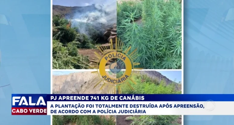PJ APREENDE 741 KG DE CANÁBIS