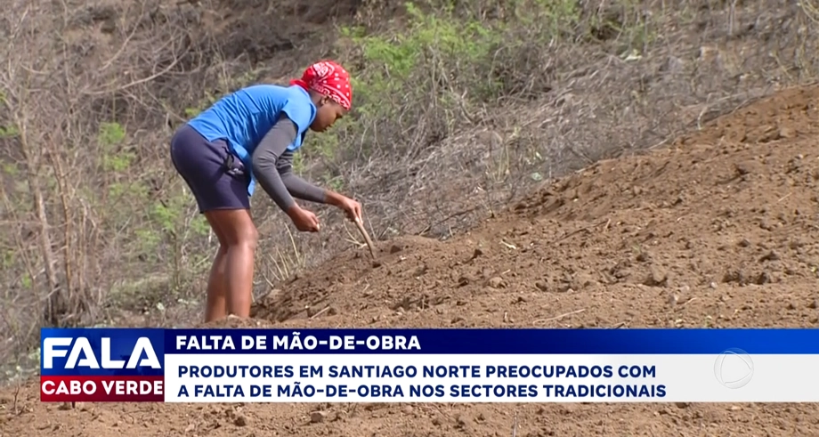 FALTA DE MÃO-DE-OBRA