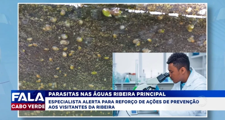 PARASITAS NAS ÁGUAS RIBEIRA PRINCIPAL