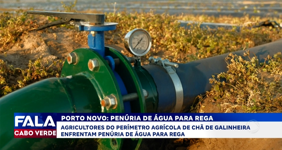 PORTO NOVO: PENÚRIA DE ÁGUA PARA REGA