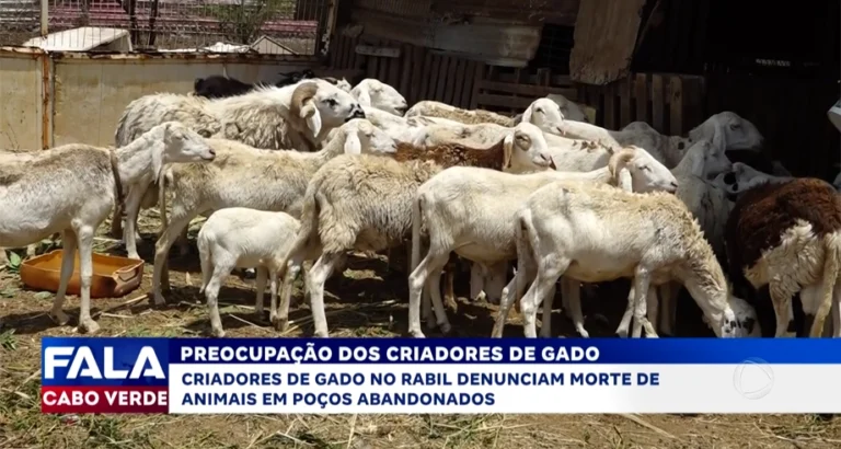 PREOCUPAÇÃO DOS CRIADORES DE GADO