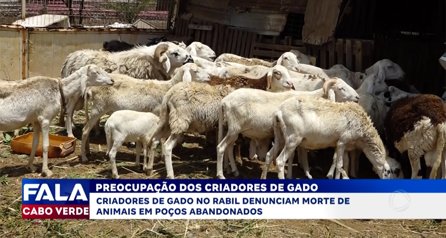 PREOCUPAÇÃO DOS CRIADORES DE GADO