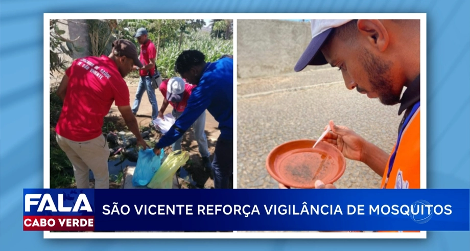 SÃO VICENTE REFORÇA VIGILÂNCIA DE MOSQUITOS