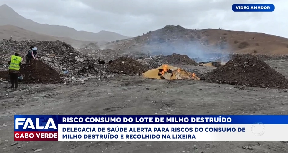 RISCO CONSUMO DO LOTE DE MILHO DESTRUÍDO