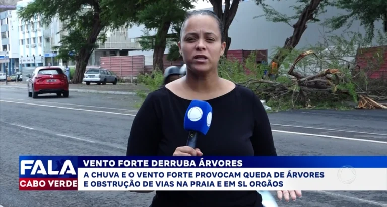 VENTO FORTE DERRUBA ÁRVORES