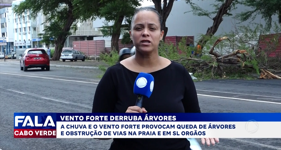 VENTO FORTE DERRUBA ÁRVORES