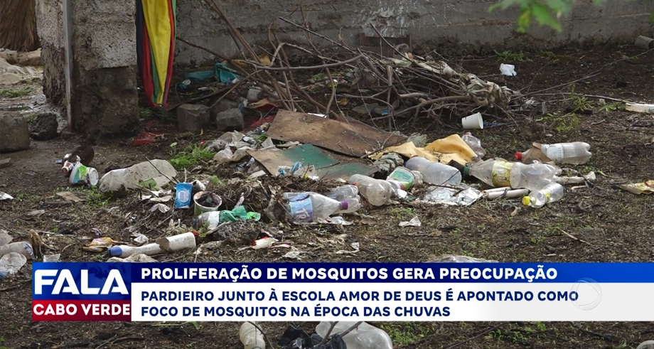 PROLIFERAÇÃO DE MOSQUITOS GERA PREOCUPAÇÃO