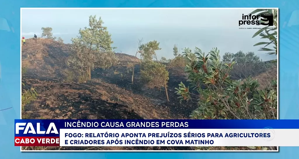INCÊNDIO CAUSA GRANDES PERDAS